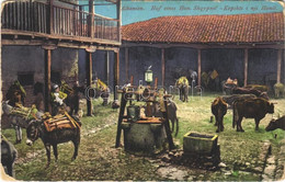 T2/T3 1916 Albania, Shqypnie; Hof Eines Han / Kopshti I Nji Hanit / Garden Of An Inn (EK) - Non Classés