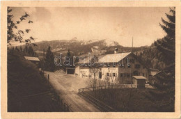 T2 1924 Oberstdorf, Oesterr Grenz-Wirtshaus Walserschanz / Mountans - Non Classificati