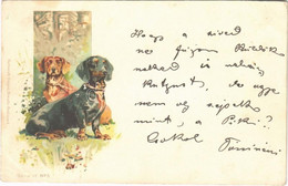 * T2 Tacskók / Dachshund Dogs. Schmidt Edgar Serie VI. No. 5. Litho - Ohne Zuordnung