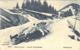 T2/T3 1908 Caux, Sport D'hiver, Course De Bobsleigh / Winter Sport, Bobsled (EK) - Non Classés