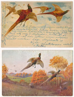 **, * 4 Db RÉGI Vadász Motívum Képeslap: Fácán / 4 Pre-1945 Hunting Motive Postcards: Pheasants - Unclassified
