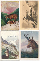 ** 4 Db RÉGI Vadász Motívum Képeslap: Zerge / 4 Pre-1945 Hunting Motive Postcards: Chamois - Unclassified