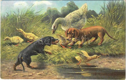 T2 1904 Vadászkutyák Libákkal / Hunting Dogs With Geese S: A. Müller - Unclassified