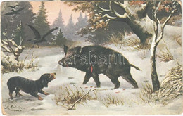 T3 Vadkan és Tacskó / Hunting Art Postcard, Wild Boar And Dachshund Dog. R. & L.C. Serie 1331. S: Alf. Schönian (EB) - Unclassified