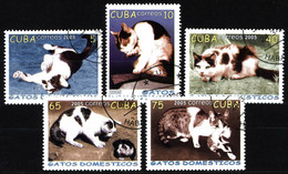 Cuba 2005 Mi 4700-4704 Domestic Cats - Usados