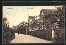 AK Osterburg, Promenade - Osterburg