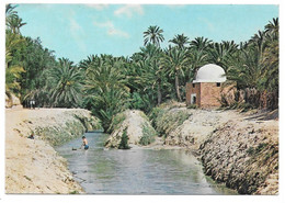 Tunisie - TOZEUR - Rivière Et Marabout Dans L'oasis - Ed. KAHIA, Tunis N° 1620 - Tunisie