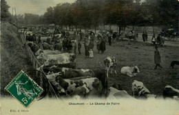 Chaumont * Le Champ De Foire * La Place * Marché Aux Bestiaux * Marchands - Chaumont