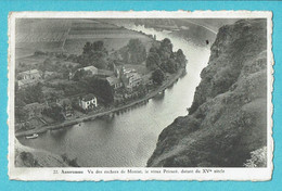 * Anseremme (Dinant - Namur - La Wallonie) * (Les Editions Arduenna - Photo Clém Dessart 1555) Rochers De Moniat Prieuré - Dinant