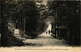 CPA NOIRETABLE - La Grande Allée Ou Allée De St-Antoine (578492) - Noiretable
