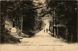 CPA NOIRETABLE - La Grande Allée Ou Allée De St-Antoine (578482) - Noiretable