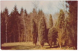 Putten Arboretum Schovenhorst OB726 - Putten