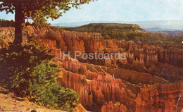 Boat Mesa And The Queen's Garden Bryce Canyon National Park - Utah - 1975 - USA - Used - Bryce Canyon