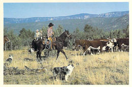 USA Etats Unis ( AZ Arizona ) The COWBOYS And Their Friends At Round-up Time In Arizona - CPSM Format CPA 1970-80's - Autres & Non Classés