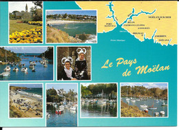 PAYS De MOËLAN - Carte Multivues  N°10145 YCA Caoudal éd. - Moëlan-sur-Mer