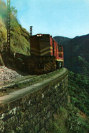 Delcampe - CPM - ESTRADA De FERRO CURITIBA-PARANAGUA (Train) ... Estado Do PARANA - Curitiba