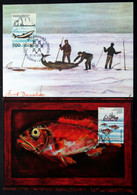 GREENLAND 2002   Maxi Cards  ( ICES )  Minr.389-90     ( Lot 478 ) - Maximum Cards