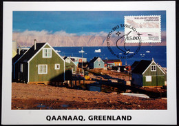 GREENLAND 2003  Maxi Card   Minr.398  ( Lot 478) - Cartes-Maximum (CM)