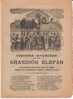 SIGLO XIX EN CATALÁN - ROMANSOS - HISTORIA INTERESAN DE UN GRANDIÓS ELEFAN ... EDITA JOAN GRAU EN REUS - Literature