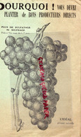 95- ARGENTEUIL- DEPLIANT FLEURY & GENDRE- BD JEANNE D' ARC- PLANTS VIGNE RAISINS NOIRS -CHASSELAS-MUSCAT HAMBOURG - Agriculture