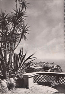 Le Rocher Vu De La Terrasse Du Jardin Exotique - The Rock From The Terrace Of The Exotic Garden - Monaco - Used - Terrassen