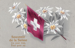 "Souvenir De La Suisse, Un Pour Tous, Tous Pour Un" - Edelweiss - Drapeau - Patriotisme - Au