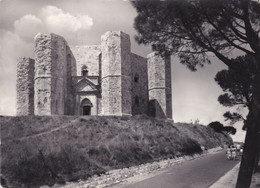 Corato - Castel Del Monte Viaggiata Anni '60 - Bari