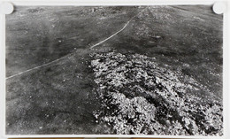Pierre-sur-Haute.Puy-de-Dôme.Les Monts Du Forez.photographie.dimensions 45,00 X 27,3 Cm.circa 1950.peut être Encadré - Lugares