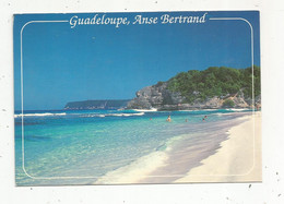 Cp , Guadeloupe , Anse BERTRAND , Plage De L'anse LABORDE ,écrite - Autres & Non Classés