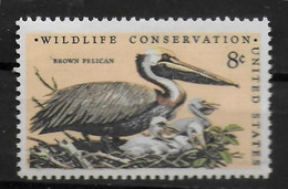USA  N° 965    * * Oiseaux  Pelican - Pélicans