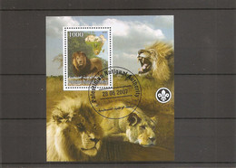 Félins - Lions ( BF Privé Oblitéré De Palestine De 2007 à Voir) - Big Cats (cats Of Prey)