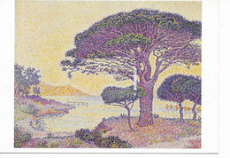 CARTES  MODERNES  -  SIGNAC - Olii