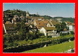 CPSM/gf  HORB-am-NECKAR (Allemagne)  Vue Partielle De La Ville...M836 - Horb