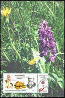 CM/MK - MYSTAMP° - Célestin Alfred Cogniaux - Botaniste Belge / Belgische Botanicus / Belgischer Botaniker - Covers & Documents