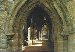 TINTERN ABBEY, WALES. UNUSED POSTCARD  Pa5 - Monmouthshire