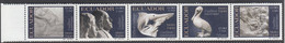 Ecuador 2004, Bird, Birds, Pelican, Set Of 5v, MNH**, Good Condition - Pélicans