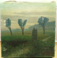 Paysage, Schagen, 1934 - Olii