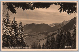 Oberstaufen - S/w Gipfel Und Wipfel Im Kusse Der Morgensonne - Oberstaufen