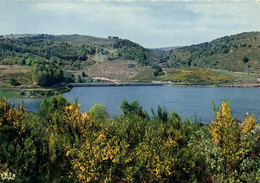 Delcampe - ANGLES LA RAVIEGE - LE LAC ET SON BARRAGE - Angles
