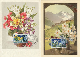 San Marino MC 1957.05 Sc 336, 338 Flowers 1953  Maximum Card #2 - Cartas & Documentos