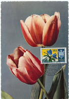 San Marino MC 1958.05.10 Sc 337 Flowers 1953 Maximum Card - Brieven En Documenten