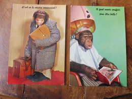 Cartes Postales Ill. Par M.D.(singes Habillés)- C'est ça Le Sourire Commercial ,il Faut Savoir Souffrir Pour être Belle - Singes