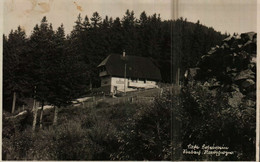 SEEBACH/ACHERN Im Schwarzwald  Café Bosenstein - Achern