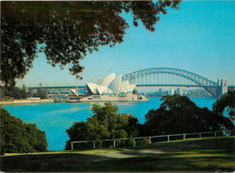 CPSM Australia-Opera House From Mrs.Macquarie's Chair-Beau Timbre     L610 - Unclassified