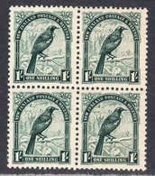 New Zealand 1936-42 Mint No Hinge, Perf 14x13.5, Sc# ,SG 588 - Nuevos