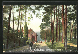 AK Haale / Saale, Gasthaus Heide, Eingang Mit Waldkater - Heide