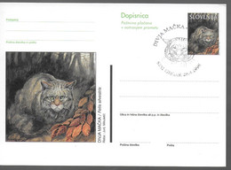 SLOVENIE  Carte PAP 1998 Chats Sauvage - Big Cats (cats Of Prey)