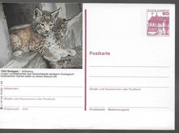 ALLEMAGNE  Carte PAP Lynx - Big Cats (cats Of Prey)