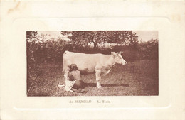 71  Au Brionnais La Traite D'une Vache  Agriculture - Other & Unclassified