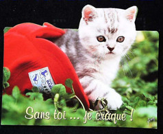 ►   Decoupis Moderne Français   - Chat Dans  Casquette   -   French Cat   Imp. Paris - Animales